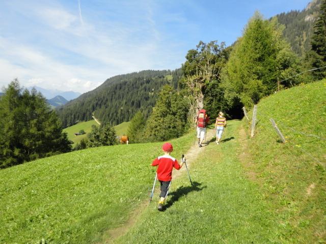 Hanslerfeld Alpbach Rom bilde