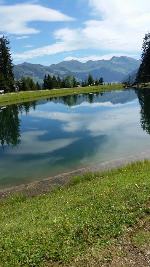 Hanslerfeld Alpbach Eksteriør bilde