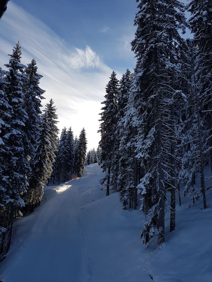 Hanslerfeld Alpbach Eksteriør bilde