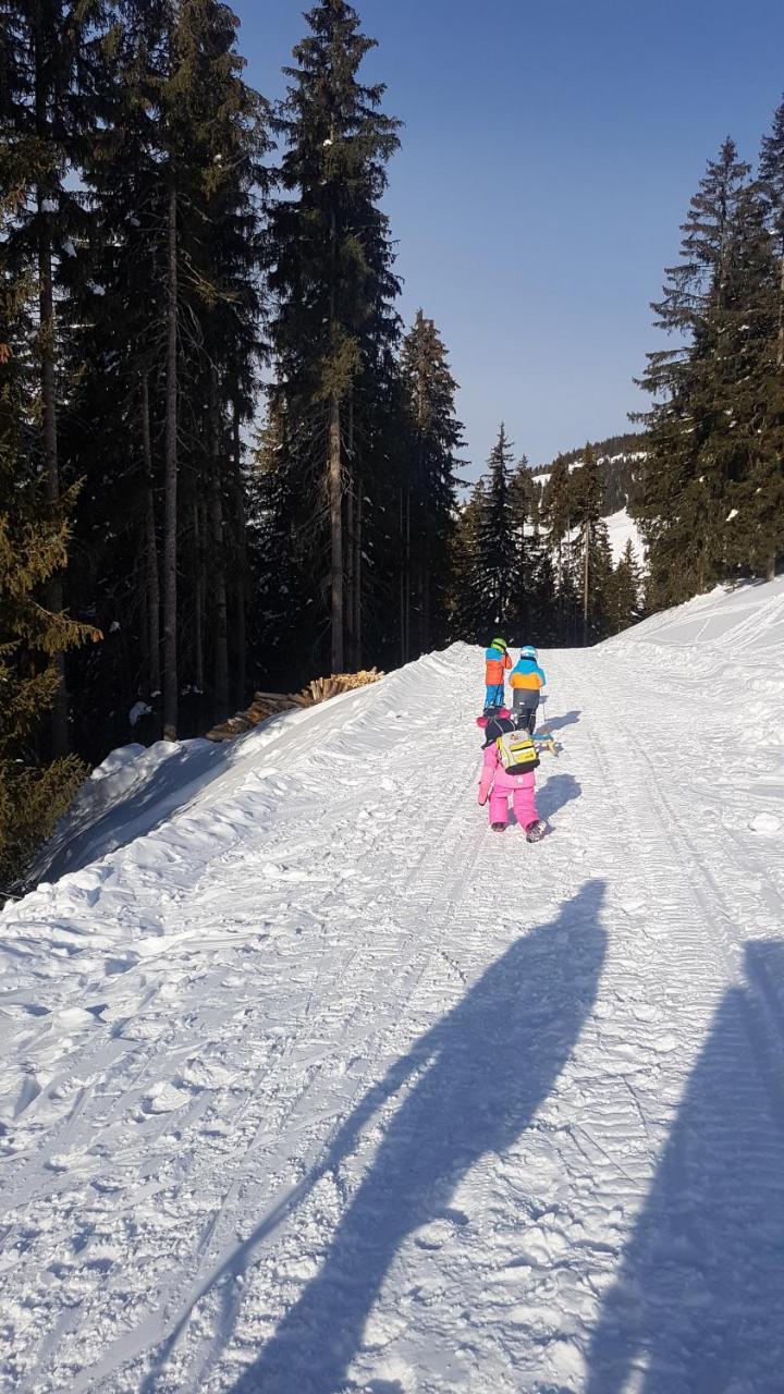 Hanslerfeld Alpbach Eksteriør bilde